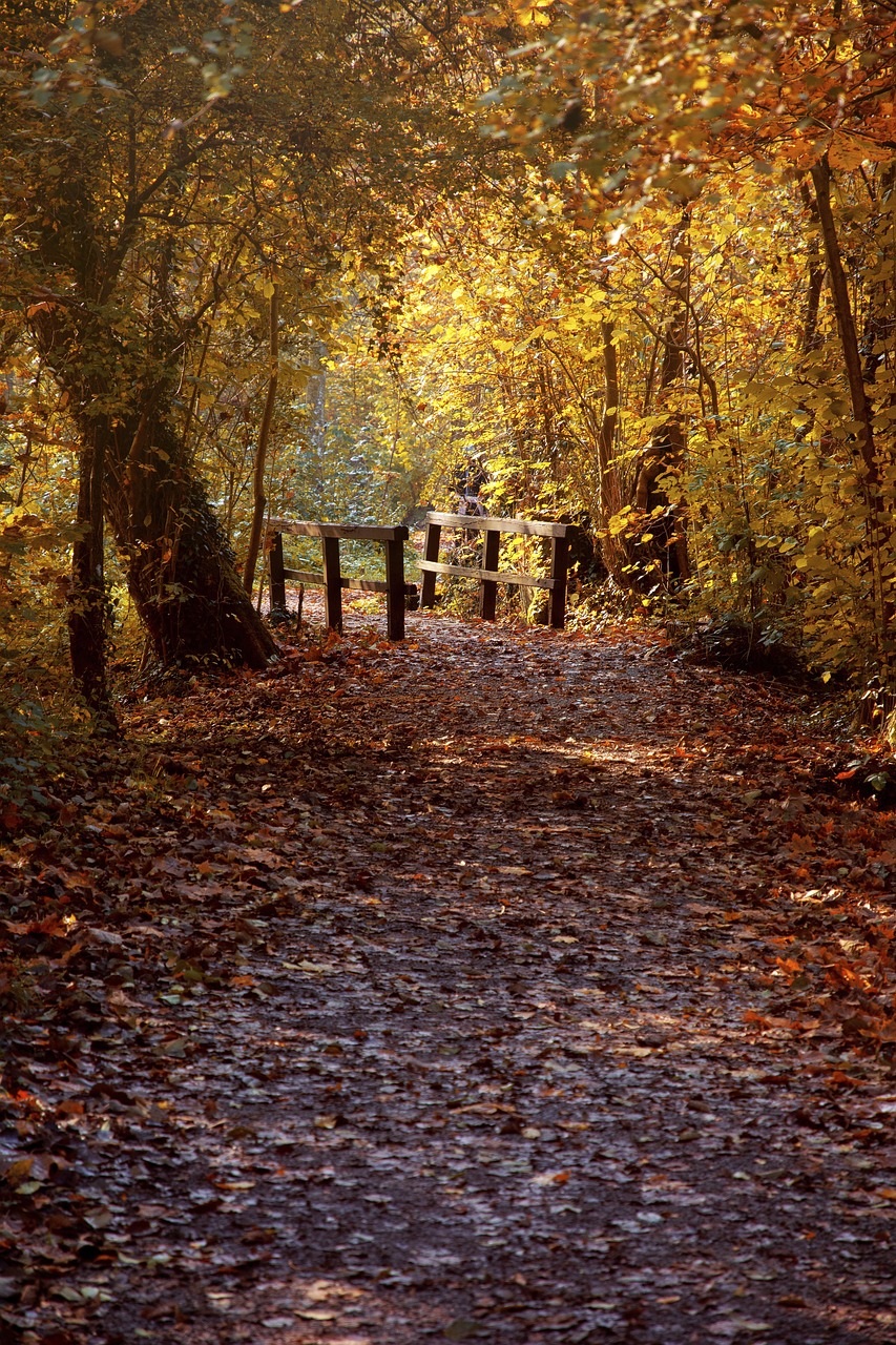 Best Autumn hikes in Switzerland