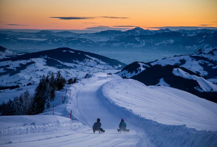 Sledding In Switzerland