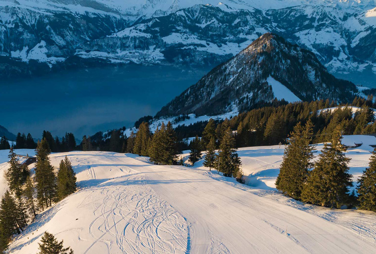 Sledding Rigi